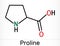 Proline, L - proline, Pro proteinogenic amino acid molecule.  Skeletal chemical formula