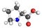 Proline molecule