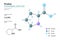 Proline. Pro C5H9NO2. Proteinogenic Amino Acid. Structural Chemical Formula and Molecule 3d Model. Atoms with Color Coding. Vector