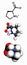 Proline (Pro, P) amino acid, molecular model. Amino acids are the building blocks of all proteins