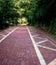 Promenade Brick Walking Path Hot Springs