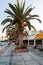 Promenade with cafes and palms in Sitia town at eastern part of Crete island, Greece