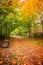 Promenade of the Petite Ceinture in autumn, Paris