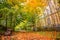 Promenade of the Petite Ceinture in autumn, Paris