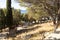 Promenade with pine trees on the St Nicholas hill in Tribunj, Croatia