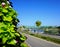 Promenade by the river Drava on a sunny summer day in Croatian town Osijek