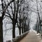 A promenade surrounded by trees in winter where there is hoarfrost on it. Fog in Sarajevo in winter