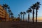 The promenade of Torrevieja with two rows of palm trees at the blue hour.