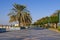 Promenade walking area by seaside with palm trees and topiary shrubs. Famous worldwide Corniche road in Abu Dhabi, UAE