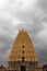 The prominent Virupaksha Temple still in use of Hampi