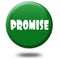 PROMISE on green 3d button.