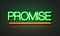 Promise neon sign on brick wall background.