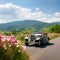 Promise on Wheels: A Vintage Car Tour of Nostalgia