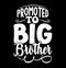 Promoted To Big Brother, Funny Brother Greeting Card, Love You Brother Big Brother Graphic Design