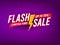 Promotion banner design, discount deal offer, marketing sales illustration with text Flash Sale