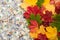 Promotion sale concept background with dollars money and colorful autumn leaves