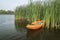 Prone kayak in reeds at lake shore