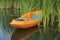 Prone kayak in reeds at lake shore