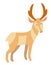 Pronghorn Antelope. Flat cartoon vector illustration