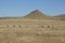 Pronghorn Herd on the Prairie