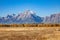 Pronghorn Herd in the Tetons in Fall