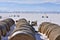 Pronghorn take winter shelter among round hay bales