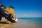 Propeller of boat on the sandy beach