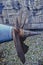 The propeller of a nuclear submarine standing in the dry dock