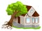 Property insurance against natural disasters. Earthquake tree fell on house