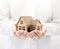 Property insurance. Cardboard house miniature in hands