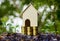 Property investment concepts. A small house model on stack of coins and plant growing on good soil with nature background. Depicts