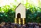 Property investment concepts. A small house model on stack of coins and plant growing on good soil with nature background. Depicts