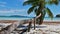 Propped up long coconut tree on beach Anse Volbert on the east coast of Praslin, Seychelles with turquoise colored water,.