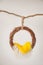 Props for photographing newborns, pendant ring from a vine with a yellow peel on a branch