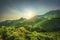 Prosecco Hills, vineyards at sunset. Unesco Site. Veneto, Italy