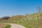 Prosecco springtime vineyards landscape