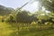 Prosecco Vineyard with green and yellow sunny leaves in Valdobiaddene, Italy.