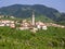 Prosecco vineyards in Guia, Valdobbiadene