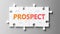 Prospect complex like a puzzle - pictured as word Prospect on a puzzle pieces to show that Prospect can be difficult and needs