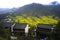 The Prospect of Jiangxi Wuyuan golden Field