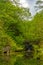 Prospect park, Brooklyn NY May 11, 2020, Brooklyn, New York City. Binnen Bridge, Prospect Park reflection in water out of focus