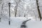 Prospect Park Snowy Path Curves