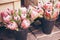 Protea flowers in a bucket in flowers market.