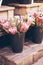 Protea flowers in a bucket in flowers shop.