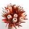 Protea flowers bunch. Blooming Dried King Protea Plant over White background. Extreme closeup. Holiday gift, bouquet, buds. One Be