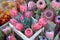 Protea flowers on a farmers market