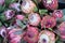 Protea flowers on a farmers market