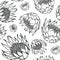 Protea, National flower of South Africa, seamless pattern background