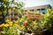 Protect Our Planet: A Colorful Protest Sign Amidst a Lush Urban Rooftop Garden