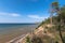 Protected coniferous forest on the rocky shore of Lake Baikal. Olkhon Island